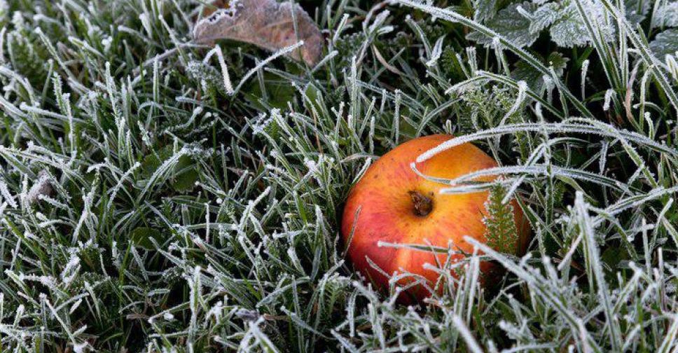 В Донецкую область надвигаются заморозки: температура опустится до -3°C