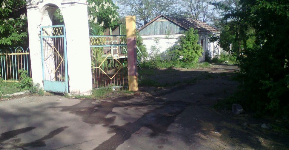 В Мариуполе пожарные два часа боролись с огнем в Приморском парке (ФОТОФАКТ)
