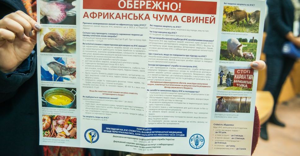 В Мариуполе впервые обнаружен вирус африканской чумы (ФОТО)