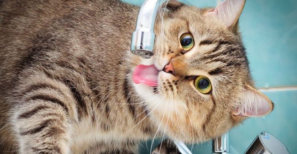 В Мариуполе десятки улиц останутся без света и воды
