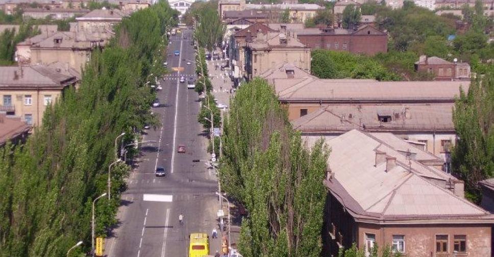 ТОП-новости Мариуполя за неделю от MRPL.CITY: гигантская оса, драка в маршрутке и соблазняющие газоны