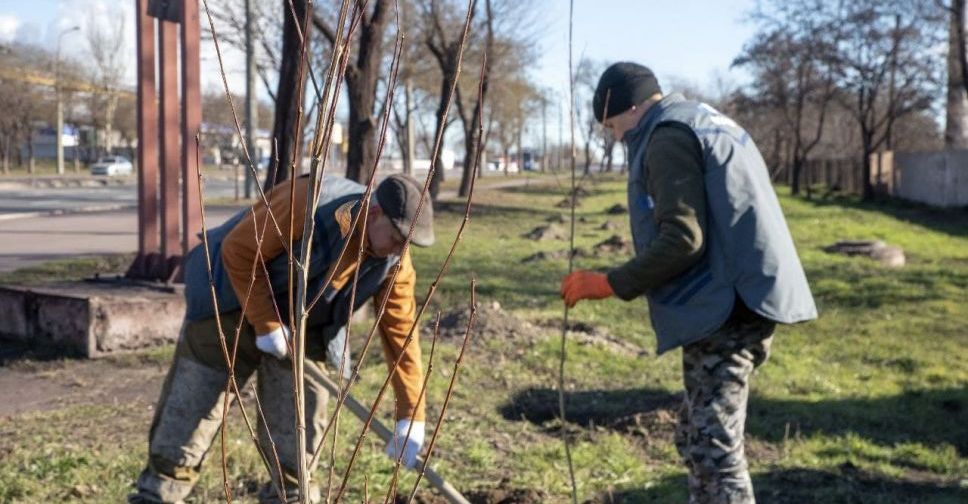 В Мариуполе высадили сотни молодых деревьев
