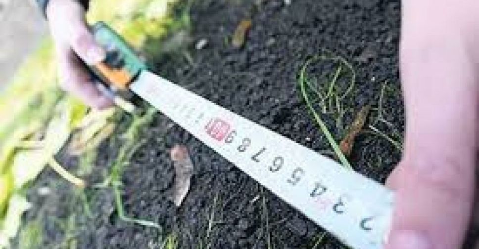 Мариупольский предприниматель задолжал городу участок земли, стоимостью почти десять миллионов гривен