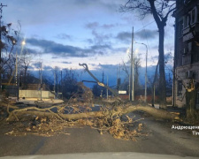 Затоплені будинки, повалені дерева, знеструмлені підстанції – у  Маріуполі вирував потужний шторм