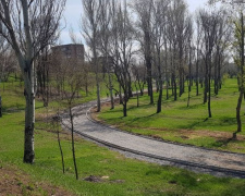 В Мариуполе продолжается масштабная трансформация парка имени Гурова