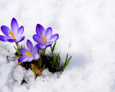 Перші весняні вихідні – якою буде погода 2 та 3 березня