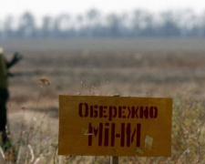 Около 7 тысяч кв. километров Донецкой и Луганской областей являются заминированными