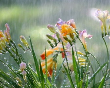 В Мариуполе жару разбавят дожди с грозами