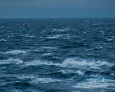 Во время шторма в Мариуполе в открытое море унесло серфингиста