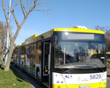 В Мариуполе запустят новый автобусный маршрут