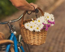 В поселке под Мариуполем из-за цветов мужчина лишился велосипеда