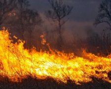 В Мариуполе выгорело более 1000 квадратных метров территорий с постройками