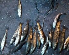 Мариупольский браконьер наловил пиленгаса и судака более чем на 12 тысяч гривен (ФОТО)
