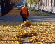 Мариупольцев призывают не выбрасывать листву в мусорные баки