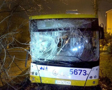 В Мариуполе новый коммунальный автобус без водителя врезался в дерево