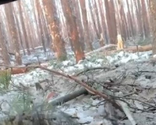ЗСУ відбили штурм росіян в лісі під Кремінною, який перетворився на болото