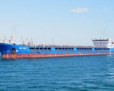 Туреччина відпустила російське судно з викраденим українським зерном