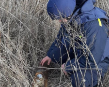 На Донетчине спасатели обнаружили артиллерийский снаряд (ФОТО)