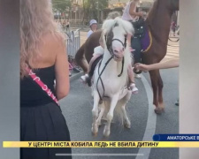 В Мариуполе катание на пони обернулось для ребенка ушибами и испугом