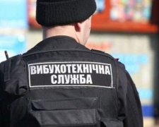 В СБУ сообщили о «минировании» всех киевских школ