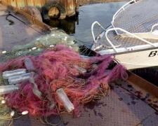 В Мариуполе из запрещенных сетей спасли краснокнижную рыбу почти за 50 тысяч гривен (ФОТО+ВИДЕО)