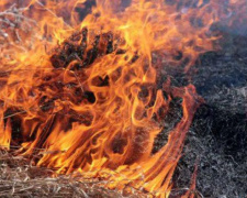 Мариупольцев будут наказывать за сжигание мусора