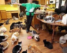 Более 10 кошек и собаки: в доме мариупольчанки обнаружили "рассадник" животных