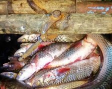 Ночная рыбалка: пограничники Мариуполя поймали браконьера с тремя мешками рыбы (ФОТО)