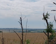 ЗСУ збили російський літак під Покровськом: яскраве відео