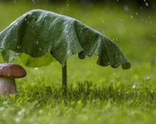 В Мариуполе летнюю жару разбавят дожди с грозами
