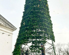 В Мариуполе главная елка почти готова к праздникам (ФОТОФАКТ)