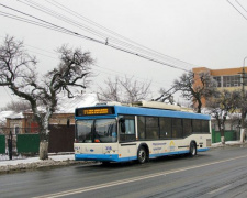 Соцсети: в Мариуполе полностью встало движение троллейбусов (ФОТО)