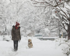 В Мариуполе прогнозируют усиление снегопада и гололедицу