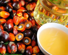 В Украину завезли рекордное количество пальмового масла