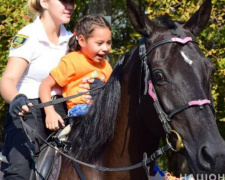 Полицейские лошади и собаки в Мариуполе стали реабилитологами в сеансе анималотерапии (ФОТО)