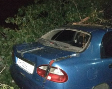 В Мариуполе ночью дерево рухнуло на багажник машины (ФОТО)