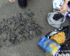 В Мариуполе в пачке хлопьев нашли наркотики стоимостью 120 тысяч гривен (ФОТО)