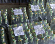 Торговые сети в Мариуполе продавали алкогольный фальсификат. Изъято более 5 тысяч бутылок