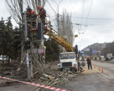 Не допустить несанкционированную рубку и обрезку деревьев: мэр Мариуполя издал распоряжение