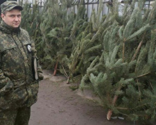 В Мариуполе перед Новым годом полицейские изымают нелегальные елки (ФОТО)