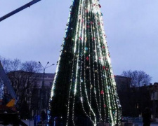 К открытию готова: в Мариуполе засияла новогодняя елка (ФОТОФАКТ)
