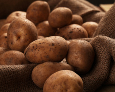 Картопля в Україні коштує майже в 3,5 рази дорожче, ніж минулого року – чому ростуть ціни