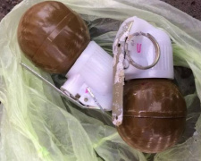 На Донбассе пограничники поймали в лесополосе  мужчину с гранатами за пазухой (ФОТО)