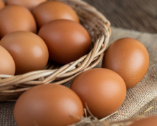 Яйця знову дорожчають – якою буде ціна перед Новим роком