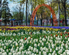 «Живой» флаг Украины и греческий орнамент: с начала мая в Мариуполе высадили порядка 200 тысяч цветов (ФОТО)