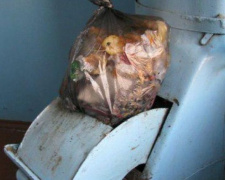 Мариупольцы просят убрать мусоропроводы в многоэтажных домах (ФОТО)