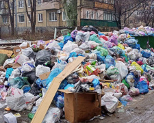 Руський мир прийшов: потопаючий у смітті Донецьк атакують щурі