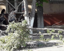 Штормовой ветер создал опасную ситуацию в центре Мариуполя (ФОТОФАКТ)