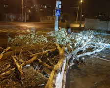 В Мариуполе шторм с порывами ветра до 24 метров в секунду