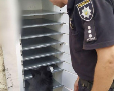 Служебная собака нашла подозрительный пакет в почтомате в центре Мариуполя